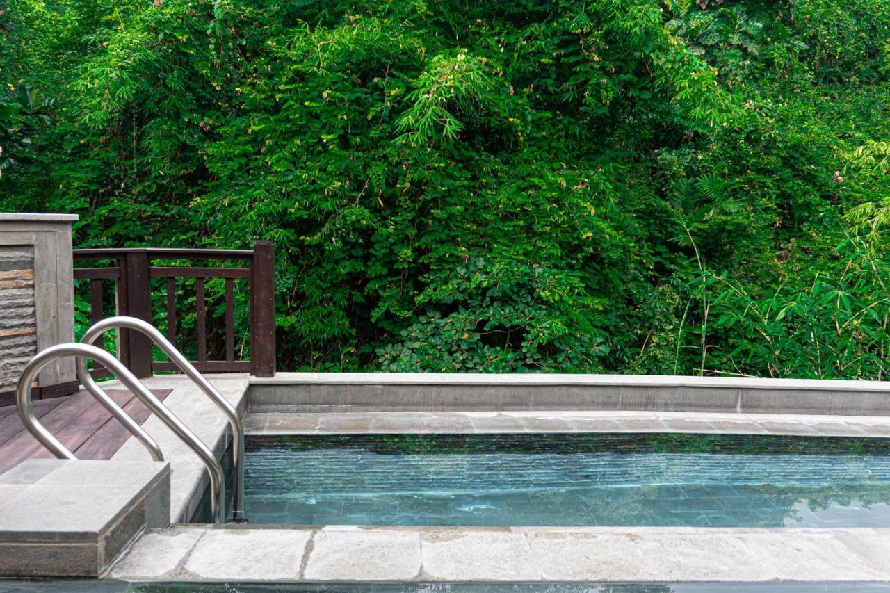 The Pari Sudha Hotel Ubud  Luaran gambar