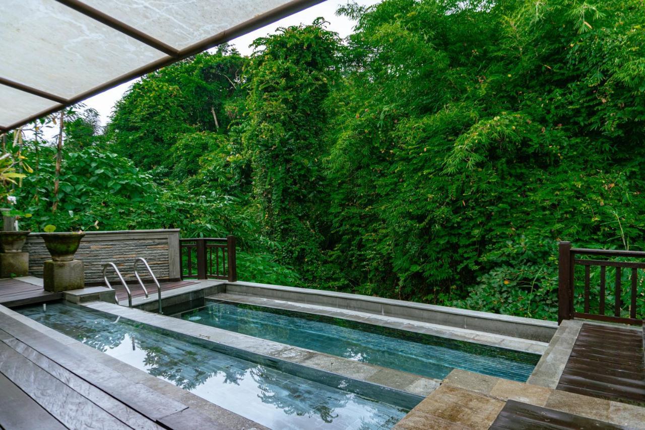 The Pari Sudha Hotel Ubud  Luaran gambar